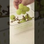 野菜保存と水の躍動感を感じる野菜洗い【スリコ容器】生活音ASMR