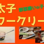 【レシピ】明太子サワークリーム(野菜嫌いの子供も野菜スティックをバクバク食べるはず!?)Sour cream with spicy cod roe