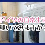 ドイツの洗濯事情/おすすめの洗剤/ドイツのスイーツ/簡単レシピ【ドイツの日常Vlog】