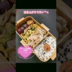 今日のお弁当♪ #shorts  #お弁当詰め方  #料理男子