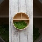 「栗おにぎりトリオ弁当」🌰🍁#shorts #お弁当 #曲げわっぱ #かりん本舗