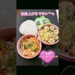 今日のお弁当♪#shorts  #お弁当詰め方  #料理男子