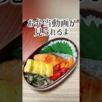 【今日のお弁当だよ】素朴にして究極の鮭弁！ #shorts