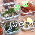 【本編&概要欄にレシピあり】【全10品】野菜たっぷり【3日分のつくおき】