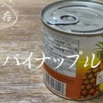 缶詰フルーツ／パイナップルは冷凍保存が便利で美味しい／お弁当にもおすすめです