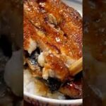 松本　うなぎ丼