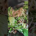 菜心(さいしん?)という野菜をはじめて食べた。なにこれ、野菜炒めのために生まれたような野菜だ!