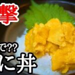 まさかの材料で節約うに丼!?面白いレシピを発見したので作ってみた