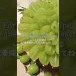 米粉スイーツ！ヴィーガン！シャインマスカットのタルト