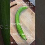 新鮮野菜だけできる作る大満足プレートで美活意識up!ダイエットのモチベーション上げちゃいました！