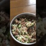 |一人暮らしだけど餃子作るよ|休日ご飯|vlog|レシピ|ぼっち|料理|簡単レシピ|ズボラ飯|独身|一人暮らし|友達いない|餃子|