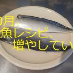 【10月、魚レシピ増やしていこうか】お弁当　晩ご飯　息子の夜食　～ゆるっと乗り越えていく～