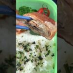 【手取り15万円介護士】今日のお弁当 #shorts #介護 #アラサー #自炊 #日常 #弁当男子