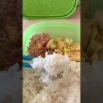 【手取り15万円介護士】今日のお弁当 #shorts #介護 #アラサー #自炊 #日常 #仕事 #福祉