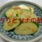 #158 毎日食べたい美味しい副菜【きゅうりとツナの酢の物】レシピ