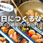【1週間のお弁当作り】お弁当日記vlog #9|1週間のお弁当|前日に作る弁当|手抜き|夜|作り置き|簡単レシピ|冷凍食品|主婦1年生
