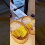 【お弁当作り】毎日20分くらいで作ることを目標にしています🍱 #shorts