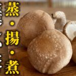 【しいたけレシピ3選】献立に困ったらこれ!メインのおかずになる2品と最高のおつまみ1品をご紹介!【プロレシピ】