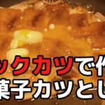 40円のビックカツで作る!「駄菓子カツとじ丼」