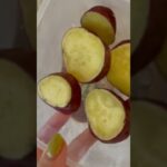 #44野菜しか盛り付けなかったやあ/#曲げわっぱ弁当 #vlog #shorts