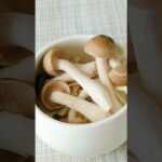 朝オートミール＊きのこたっぷり生姜スープ   おこめ@ダイエットレシピが投稿した記事   Lemon8 #shorts