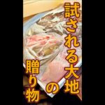 北の大地の贈り物 #Shorts #北海道 #鮭 #ソイ #簡単 #料理 #レシピ