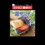 コンビニ食材でお手軽トルコ風サンド【鯖サンド】お弁当やランチに♪ #Shorts