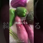 野菜を味方に痩せる #shorts