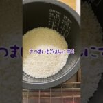 【#shorts 】お弁当生活🍱62日目【#料理 #お弁当 #タイムラプス 】