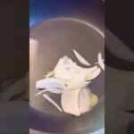 うまうま野菜ホットドッグ#shorts  #food #あさごはん