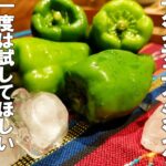 【ピーマン レシピ】たった３分でお風呂上りのビールのお供！【極冷ピーマン】簡単副菜 大量消費レシピ