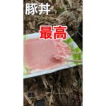 ヤバかった豚丼を作る動画