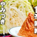 【キャベツ レシピ】簡単ちぎるだけ!うますぎる副菜【やみつき甘辛味噌キャベツ】1玉大量消費レシピ 簡単副菜レシピ