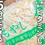 【もやし 副菜 レシピ】簡単○○して混ぜるだけ!絶品ごまもやしの簡単副菜レシピ 大量消費【もやしの胡麻和え】