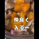 ごろっと野菜のコンソメスープ