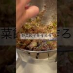 野菜餃子を作ろう