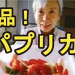【パプリカのマリネ】超簡単に作れるパプリカの副菜レシピ
