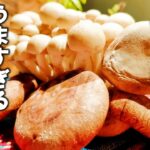 【きのこ  レシピ】ちゃちゃっと作れ、もう１品ほしいときに【酒蒸しきのこのおろし和え】作り置き おつまみにも 簡単副菜レシピ