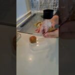 【お弁当】🔰初めてのキャラ弁なんてこんなもん😑