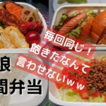 【1週間のお弁当】娘に美味しいと言われたお弁当！飽きさせないおかずでお弁当作り