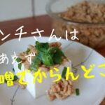 7分で!最強作り置き!万能肉味噌!!【初心者さんレシピ】おつまみにも!白ごはんにも!おにぎりにも!麵にも!めさめさ便利なお肉の作り置き!これさえあれば後はラクチン!唐辛子でピリ辛にも!