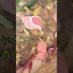 【レシピ後編つづき】ヤリイカと野菜のトマト煮。エリンギ、ピーマン、ナスでもOK！10月のモエノスアイレスにて 最終月曜日はMoenosAires+網戸もえのプチワンマンショー！