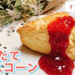 【おうちカフェ】パティシエが教えるおいしいスコーン/簡単レシピ/手作りお菓子/イチゴジャム/Scone/스콘/クリスマス/Christmas