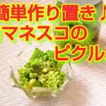 ★レシピ動画★お弁当にも💕簡単作り置き♪かわいいロマネスコのピクルス★【hirokoh(ひろこぉ)のおだいどこ】