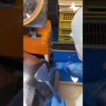 モチモチッッッッ!!!! #shorts#新杵堂#工場#栗きんとん#スイーツ#お菓子#レシピ