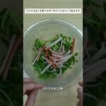 豆苗とカニカマのナムル#管理栄養士#副菜レシピ#豆苗#かにかま#shorts#ショート