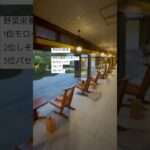 野菜栄養価ランキング！意外な結果、、、#農業 #ヘルシー #健康 #健康レシピ #栄養