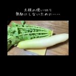 大根の使い切りレシピ