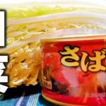 【白菜 レシピ】誰でも簡単時短！材料はサバ缶と白菜だけ！【白菜のさば味噌和え】簡単副菜レシピ