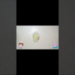 【冷凍保存】お弁当用のおかず作ってみた 豚の生姜焼き【メイン】